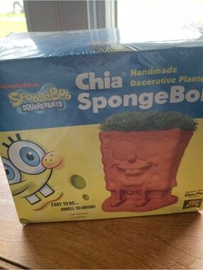 2013 Viacom Nickelodeon Spongebob Squarepant Chia Pet Decorative Planter New A11